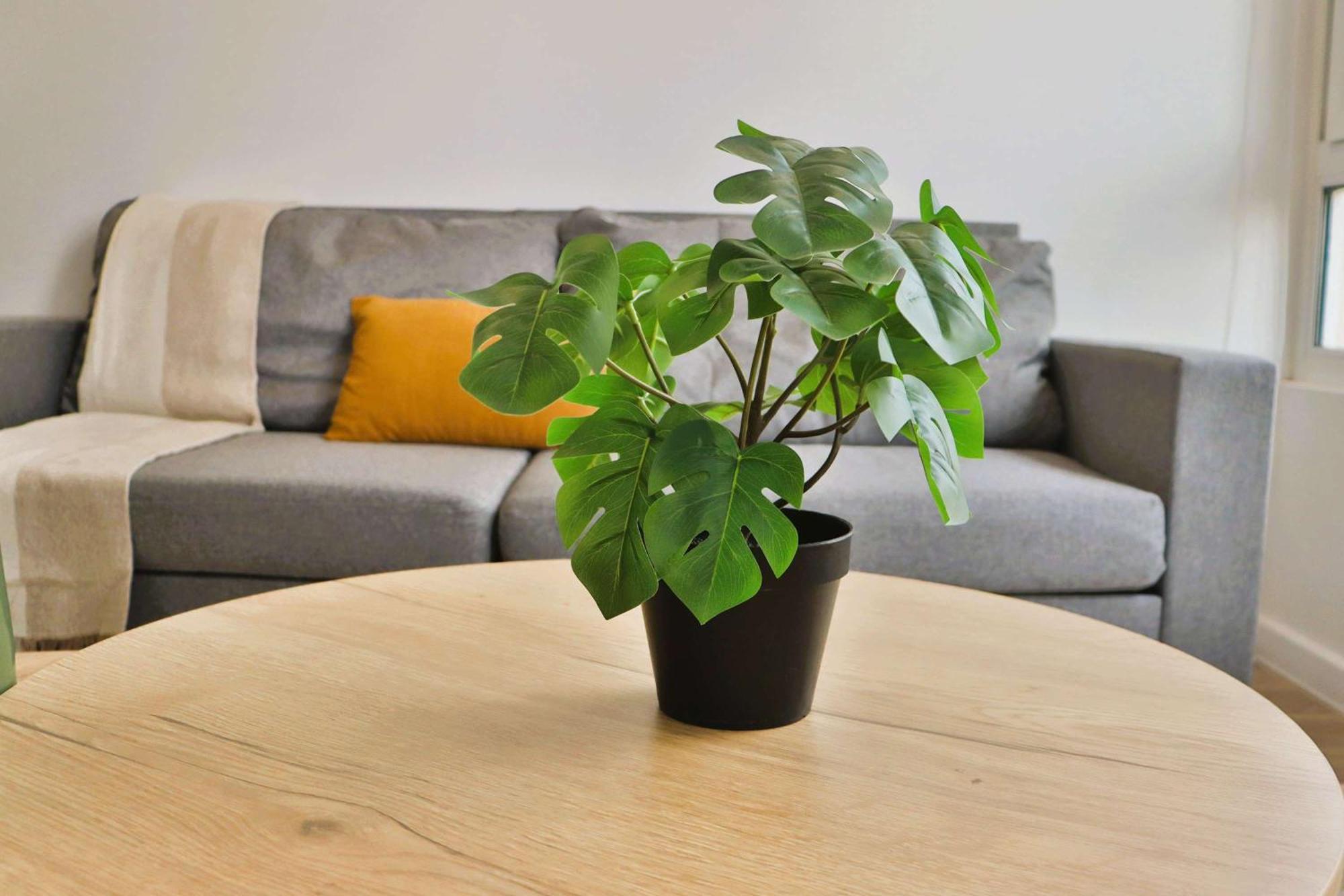 Apartamento Hom I Depto Nuevo En Calle Marchant Pereira Nunoa Santiago